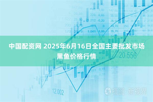 中国配资网 2025年6月16日全国主要批发市场黑鱼价格行情